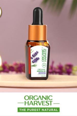 organic-essential-oil-lavender-10ml