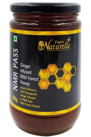 farm-naturelle-raw-100-natural-nmr-tested-pass-certified-ginger-infused-in-wild-forest-flower-honey850gram-glass-bottle