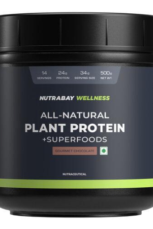 nutrabay-wellness-all-natural-plant-protein-500g-gourmet-chocolate-complete-amino-acid-pea-brown-rice-protein-24g-protein-easy-to-digest-sweetened-with-stevia-for-men-women