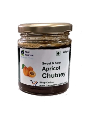 homemade-sweet-and-tangy-apricot-chutney