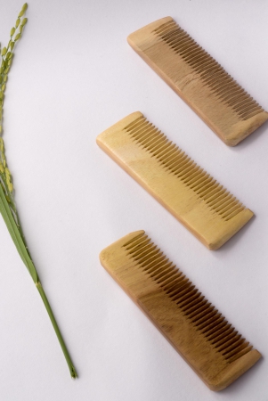 neem-wood-travel-comb-pack-of-2-