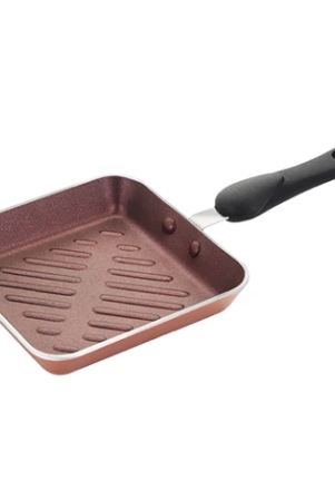 premier-non-stick-mini-grill-pan