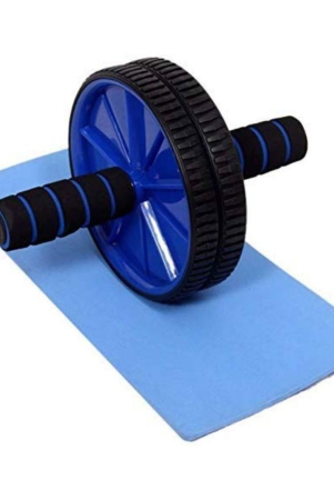 horse-fit-abs-roller-pack-of-1-free-size