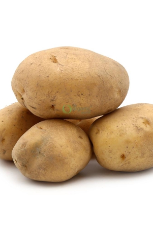 ss-potato