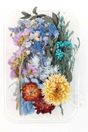 mix-style-natural-dry-flowers-29