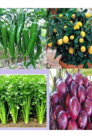 classic-green-earth-mixed-vegetable-200-seeds-