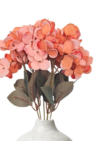 hydrangea-bloom-bunch-orange