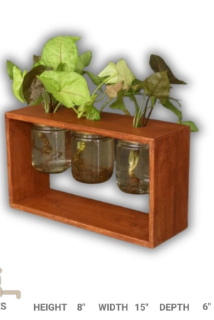 barish-home-decors-table-top-planter-3-jars-wooden-planter-with-3-mason-jar-handcrafted-with-rubberwood-table-top-planters-for-indoor-decoration-21-x-38-x-13-cms-h-x-w-x-d