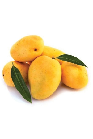 mango-kesar-1-kg
