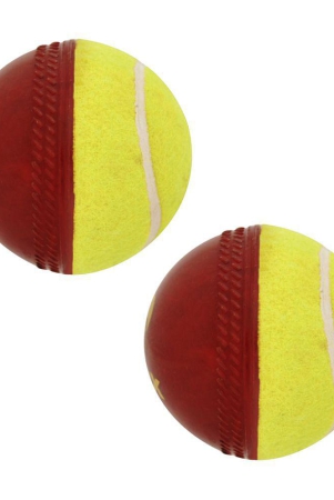 omtex-red-rubber-cricket-ball-pack-of-2-mmen