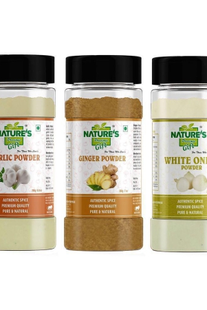 natures-gift-250-gm-onion-powder-pack-of-3