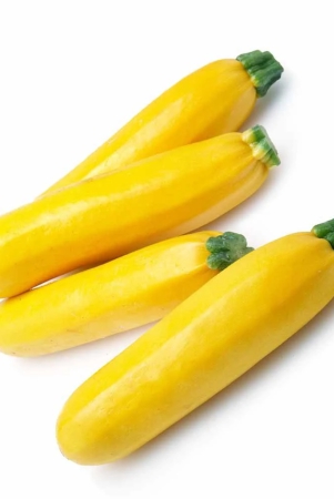 namdhari-zucchini-yellow-1-kg