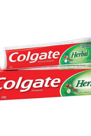 colgate-herbal-toothpaste-100-gms