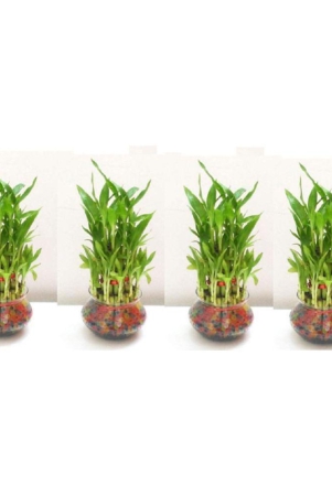 green-plant-indoor-green-wild-artificial-flowers-with-pot-pack-of-4-