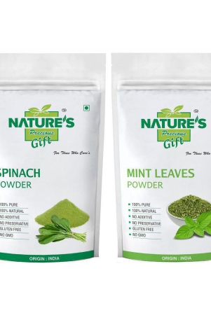 natures-gift-spinach-powder-coriander-powder-curry-powder-mint-powder-100-gm-each-powder-100-gm-pack-of-4