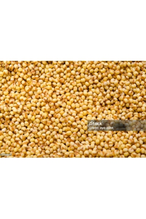 korralu-foxtail-millet