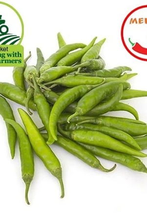 green-chilli-hundred-grams-10-gm