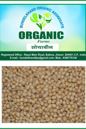 organic-soyabean