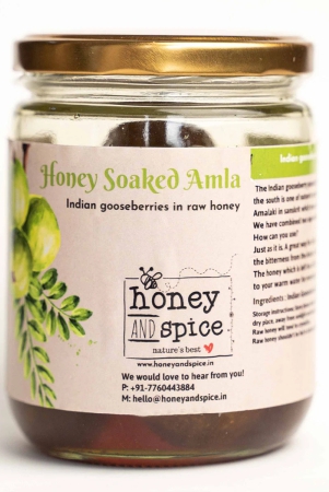 honey-soaked-amla-600gm