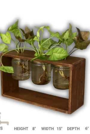 barish-home-decors-table-top-planter-3-jars-wooden-planter-with-3-mason-jar-handcrafted-with-rubberwood-table-top-planters-for-indoor-decoration-21-x-38-x-13-cms-h-x-w-x-d