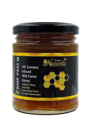 farm-naturelle-farm-natural-produce-raw-natural-nmr-tested-passed-certified-turmeric-infused-forest-flower-glass-bottle-honey-250-g