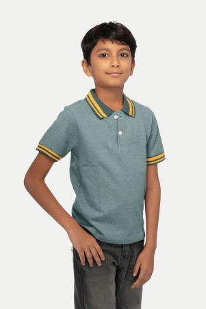 radprix-green-cotton-blend-boys-polo-t-shirt-pack-of-1-none