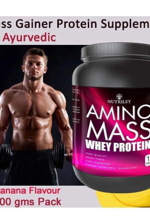 Nutriley Amino Mass Whey Protein ( 500 gm , Banana - Flavour )