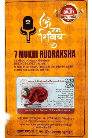 dvr-click-7-mukhi-rudraksha-bead-pack-of-1-