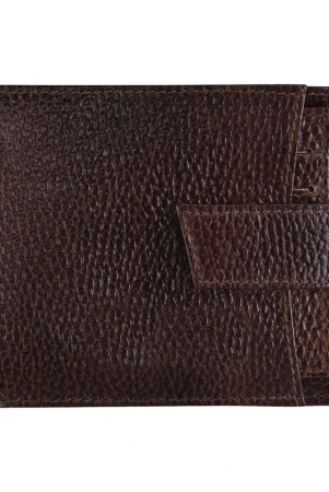 geeo-brown-leather-mens-two-fold-wallet-pack-of-1-brown