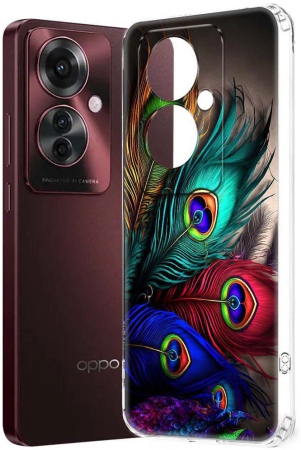 nbox-multicolor-printed-back-cover-silicon-compatible-for-oppo-f25-pro-5g-pack-of-1-