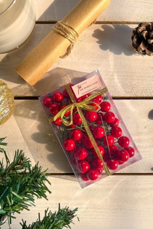 christmas-berry-set-of-50-red