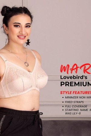 lily6mark-magic-lift-minimizer-bra