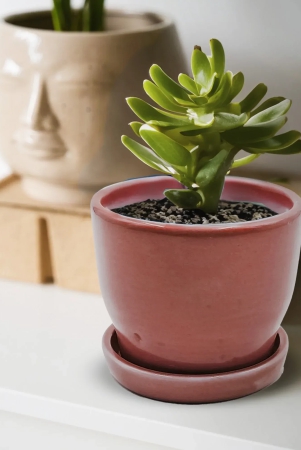 ceramic-planter-with-tray-beet-red