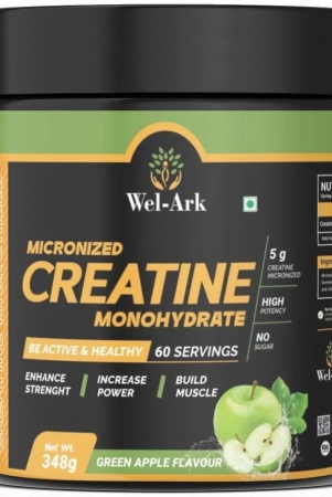 wel-ark-creatine-300-gm