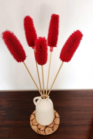 exotic-dried-flowers-crimson-red-set-of-3