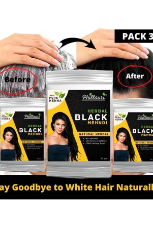 phillauri-natural-permanent-hair-color-20-g-black