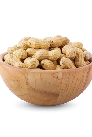 raw-groundnut-with-shell-organic-peanut-by-the-gir-farmer