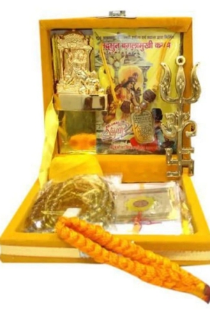 tevatiya-siddh-shri-baglamukhi-yantra-box-complete-puja-set-kavach-bagla-mukhi-puja-poojan-box-tevatiya