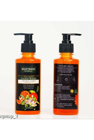 maptrons-premium-quality-mandarin-orange-hand-wash-2-pcs-250-ml-each-500