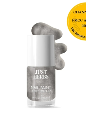 nail-paints-12-free-formula-11-ml-jh-anp-24-silver-lining