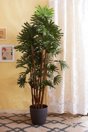 artificial-rhapis-excelsa-floor-plant-without-pot-150-cm-tall-green