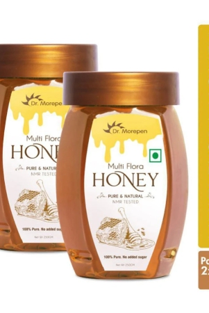 dr-morepen-multi-flora-honey-500-g