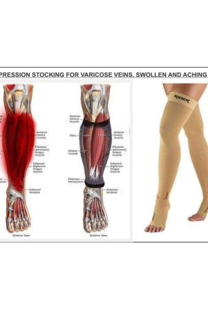 just-rider-varicose-vein-stocking-l-l