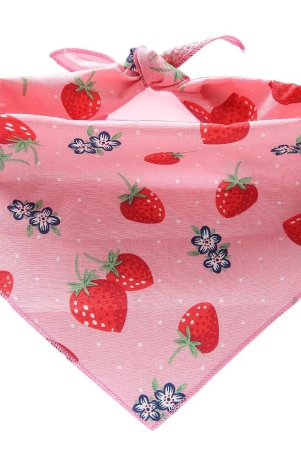 summer-fruits-pet-bandana-strawberry-l