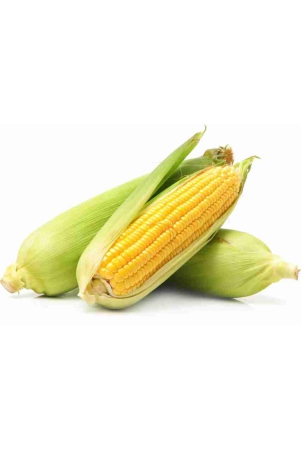 sweetcorn-500-grams