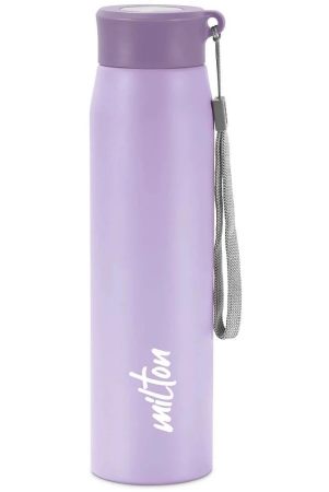 milton-handy-850-stainless-steel-water-bottle-780-ml-purple-purple