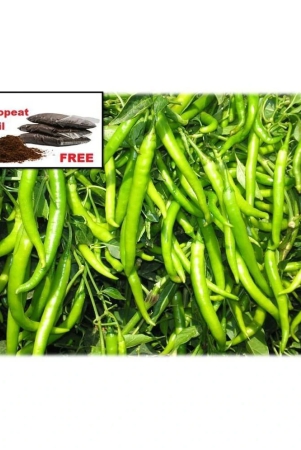 hybrid-green-chilli-seeds-pack-of-50-seeds-cocopeat-soil-free