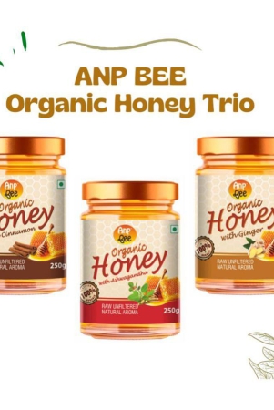 anp-bee-ayurveda-bliss-raw-honey-organic-honey-trio-250-g-pack-of-3