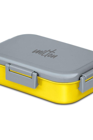 milton-stainless-steel-lunch-box-1-container-pack-of-1-