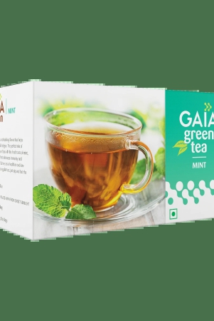 gaia-green-tea-mint-25-tea-bags-gaia-green-tea-mint-25-tea-bags